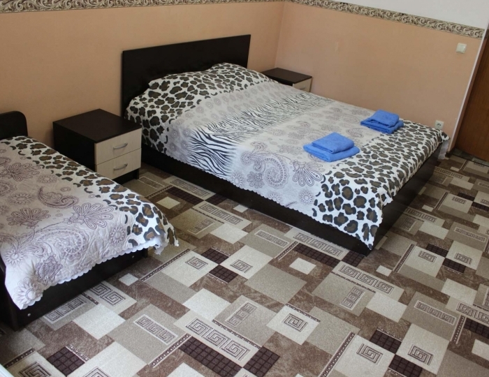 Номер эконом улучшенный с 1 двуспальной кроватью - Санаторий «Урал» Лазаревское