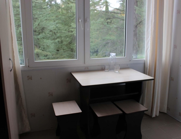 Номер эконом улучшенный с 1 двуспальной кроватью - Санаторий «Урал» Лазаревское