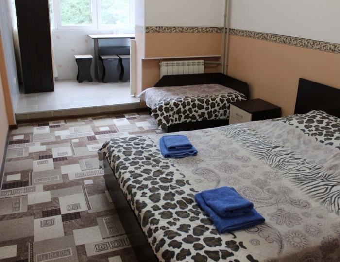 Номер эконом улучшенный с 1 двуспальной кроватью - Санаторий «Урал» Лазаревское