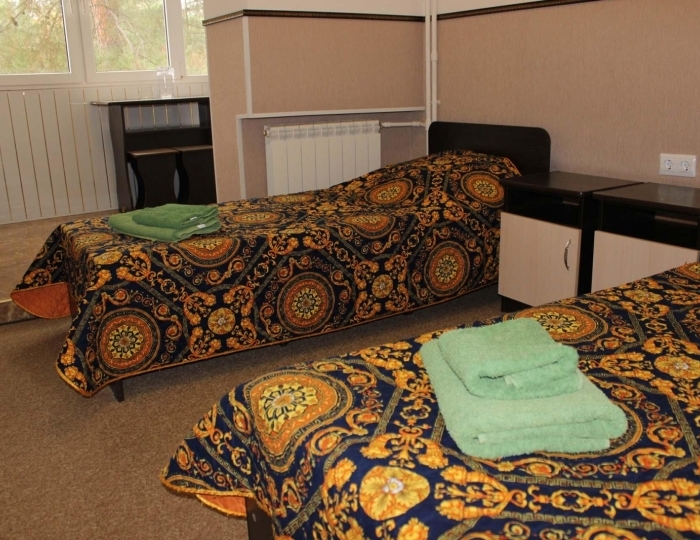 Номер эконом улучшенный с 2 односпальными кроватями - Санаторий «Урал» Лазаревское